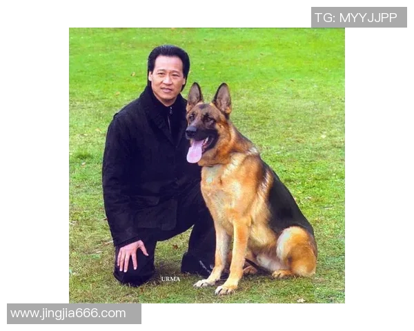 高雷雷的传奇人生与足球梦想的追逐之路