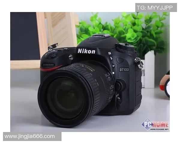 深入解析p5走势图背后的数据趋势与市场动态变化