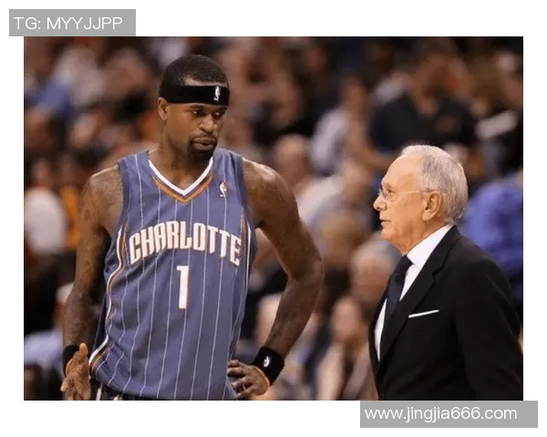 猛龙与黄蜂对决历史数据分析及战绩回顾