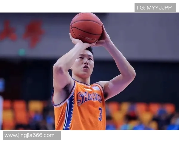 李根：从篮球场上的拼搏到人生旅途的坚持与成长