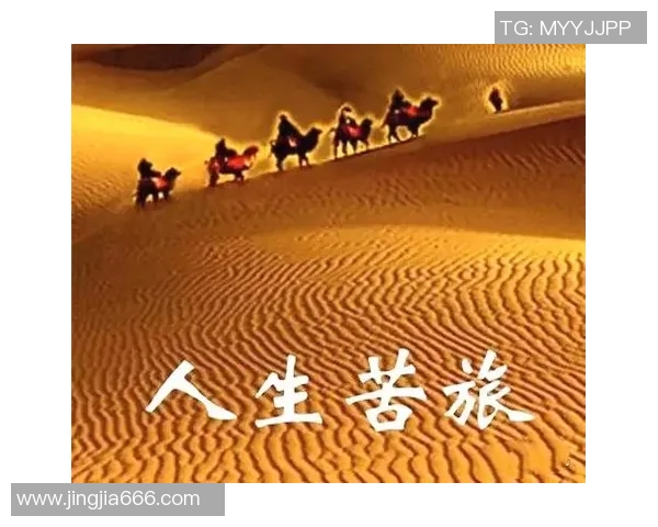 杨俊霞的奋斗故事：从平凡到卓越的励志人生旅程