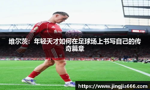 EVO视讯官方网址