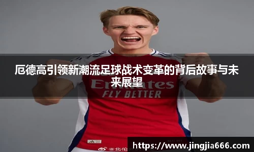 EVO视讯网站
